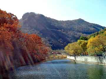 正版澳门天天开彩大全，康师傅展示柜